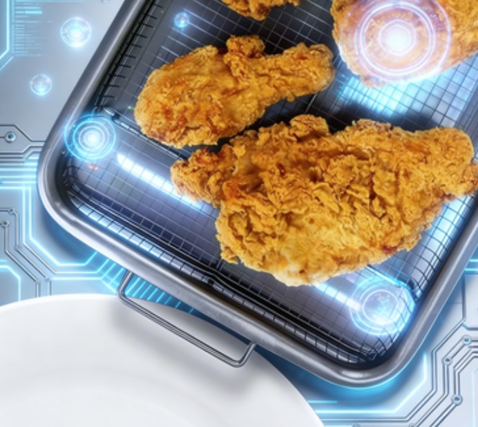 Non-Stick Oven Crisper Tray Set - 360° Air Circulation Mesh Baking Dish - Professional Oil-Free Frying Basket for Crispy Chips & Roast Meat